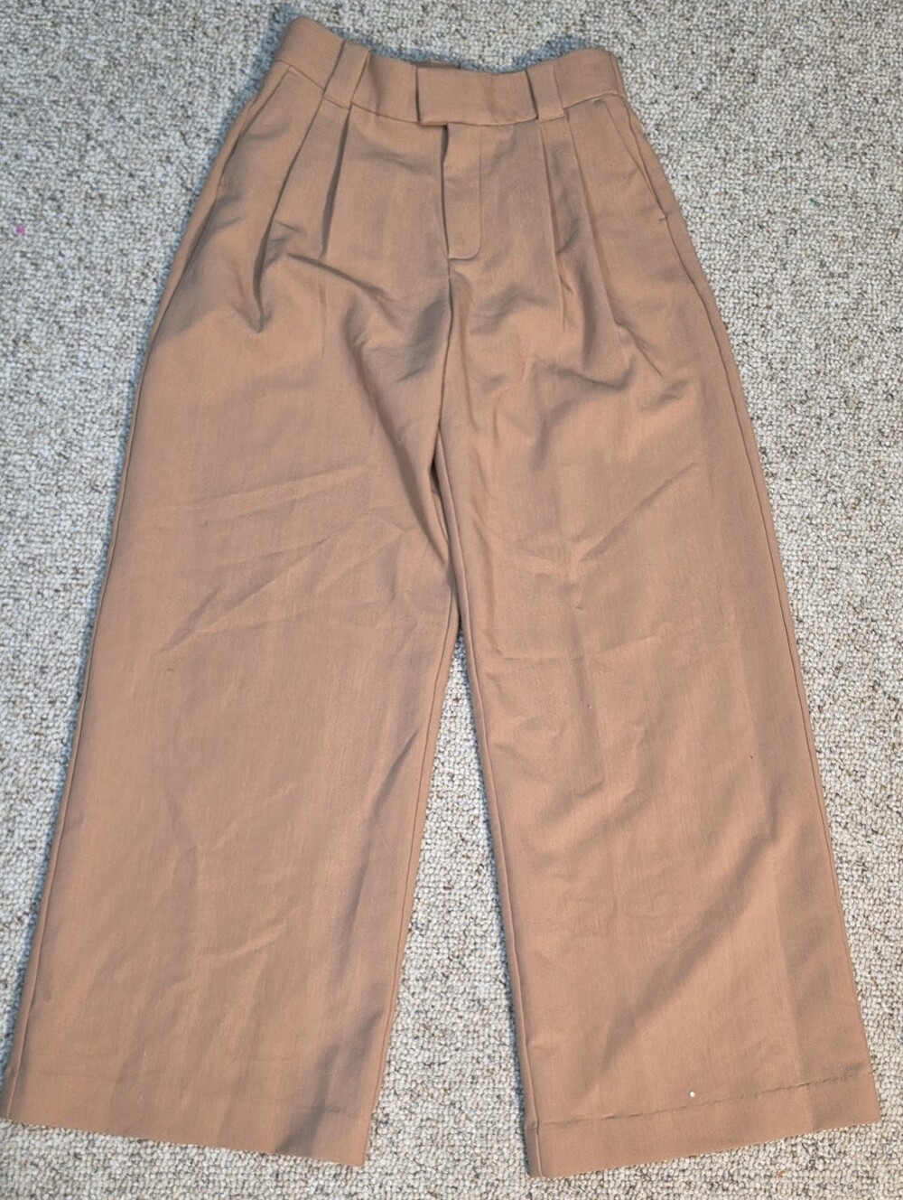 Abercrombie & Fitch Wide-Leg Pleated Chinos in Tan